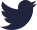 X icon
